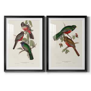 Elegant Trogons IX By Wexford Homes 2-Pieces Framed Abstract Paper Art Print 30.5 in. x 42.5 in.