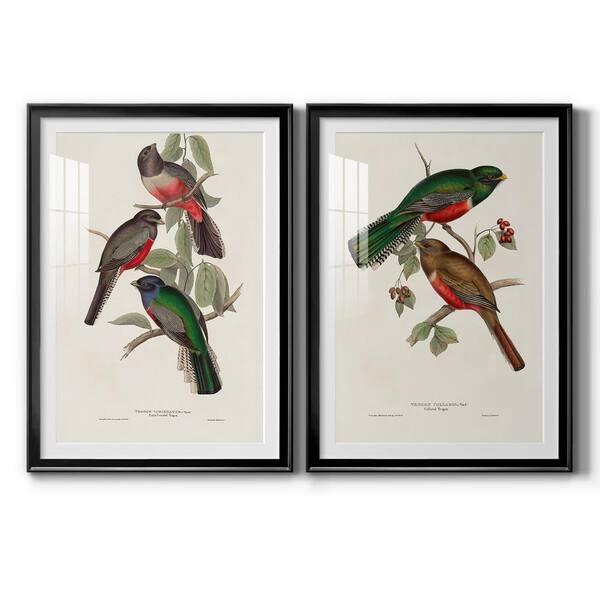 Wexford Home Panther's Paradise I By Wexford Homes 2-Pieces Framed Abstract Paper Art Print 18.5 in. x 24.5 in.