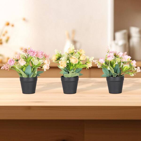 ♡Rose rose♡ Rose Pink Gotcha - Standard Rose - Roses - Flowers by