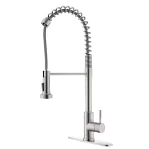 Tim Single-Handle Kitchen Faucet with Pull Down Sprayer in Brushed Nickel
