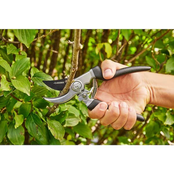 ZENPORT:Zenport 2.25 in. Coated Carbon Steel Extra-Long Handle Professional  Bypass Pruning Shear QZ413 - The Home Depot