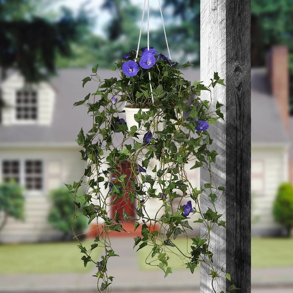 National Tree Company 44 in. Artificial Hanging Morning Glory