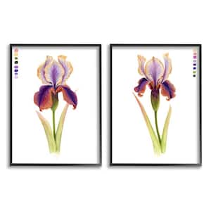 "Orange Purple Iris Flower with Color Key" by Grace Popp Framed Nature Wall Art Print 16 in. x 20 in.