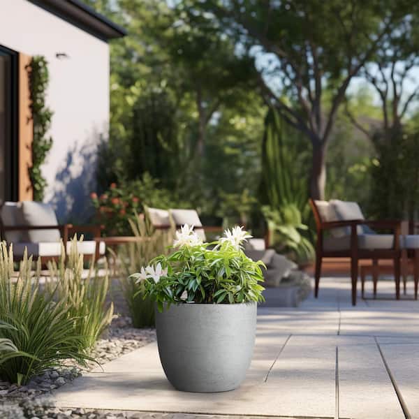 Sapcrete 14 in. Large Natural Gray Concrete Round planter / Pot with drainage holes