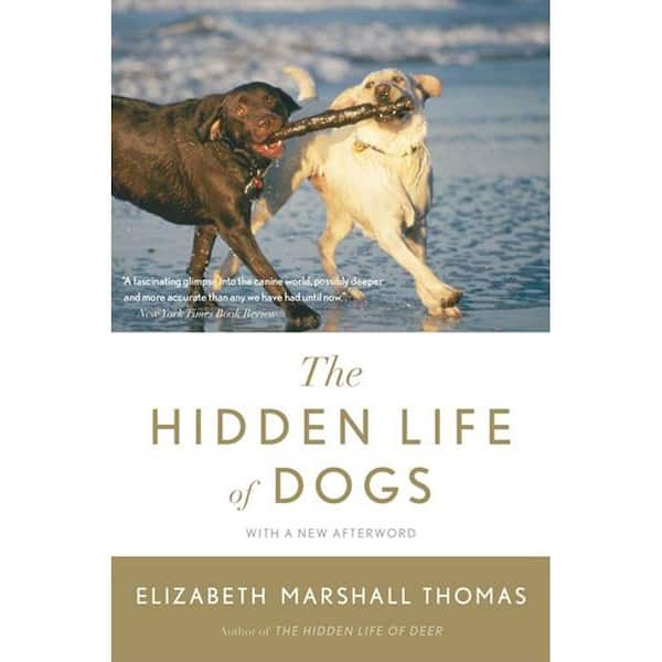 Unbranded The Hidden Life of Dogs