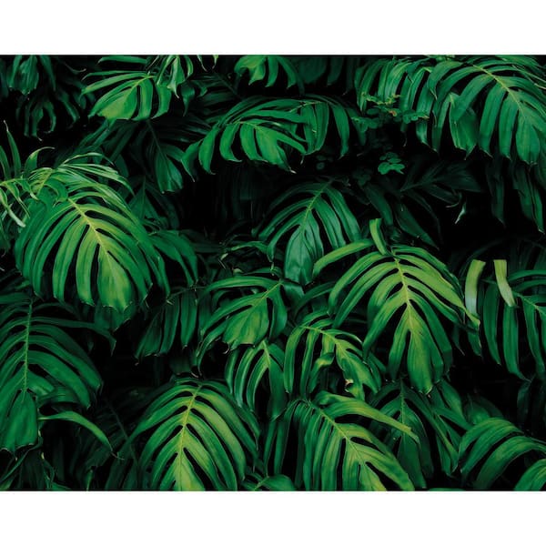 OhPopsi Forest Plant Wall Mural