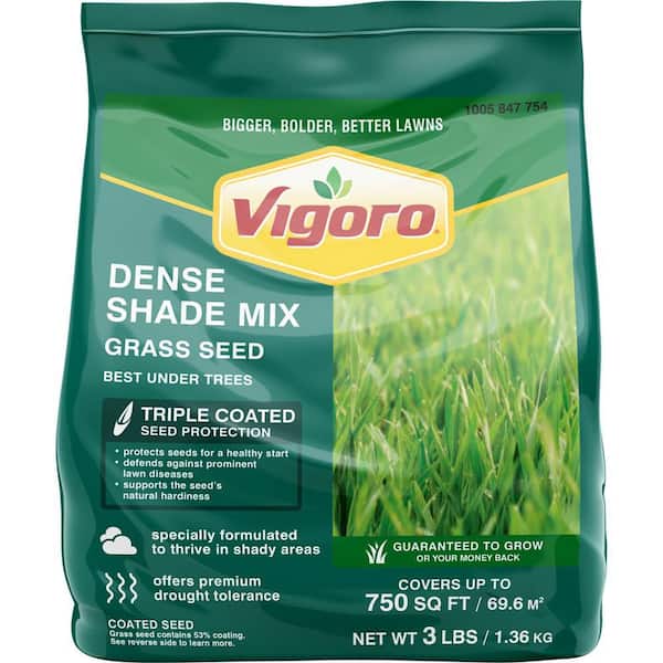 3 lbs. Shady Lawn Grass Seed Mix