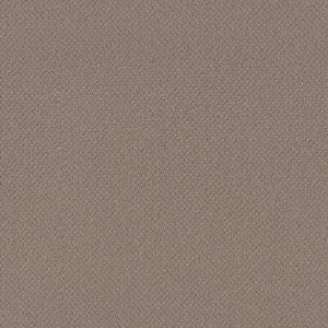 Tower Road - Fence Post - Brown 32.7 oz. SD Polyester Loop Installed Carpet