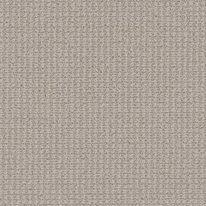 Shooting Star Apollo Beige 35 oz. SD Polyester Pattern Installed Carpet