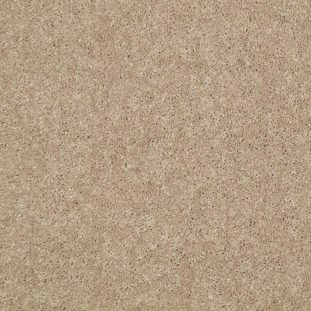 8 in. x 8 in. Texture Carpet Sample - Watercolors II - Color Honeycomb price history on PriceWatchPro