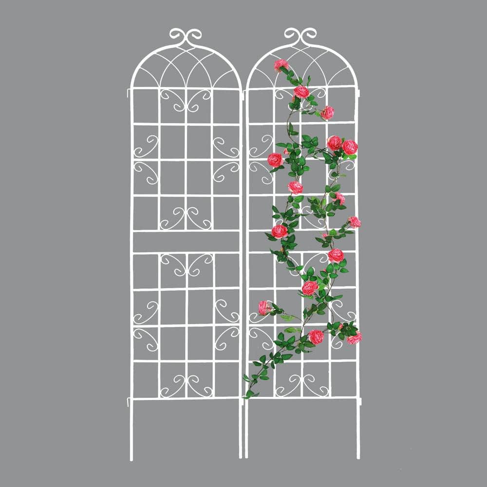 86 .7 in. H 2-Pack White Metal Garden Trellis Rustproof Trellis for Climbin