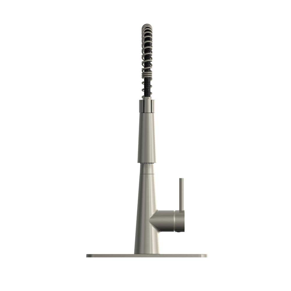 Stainless Steel Single-Handle Pull-Down Kitchen Faucet with Spray