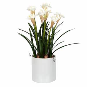 16.5 in. White Artificial Daffodil Amaryllis Floral Arrangement in Ceramic Pot