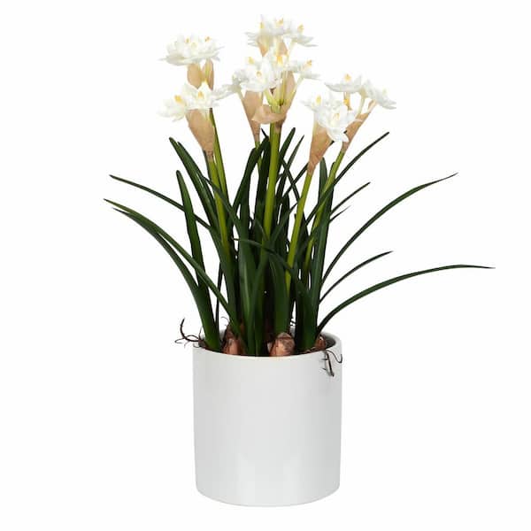 Vickerman 16.5 in. White Artificial Daffodil Amaryllis Floral Arrangement in Ceramic Pot