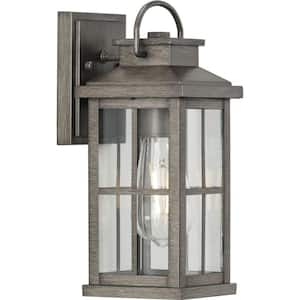 Williamston 1-Light Antique Pewter Clear Glass Farmhouse Outdoor Small Wall Lantern Light