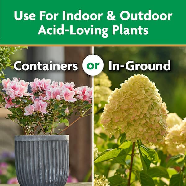 Miracle-Gro Water-Soluble 1.5 lb. Azalea Camellia and Rhododendron