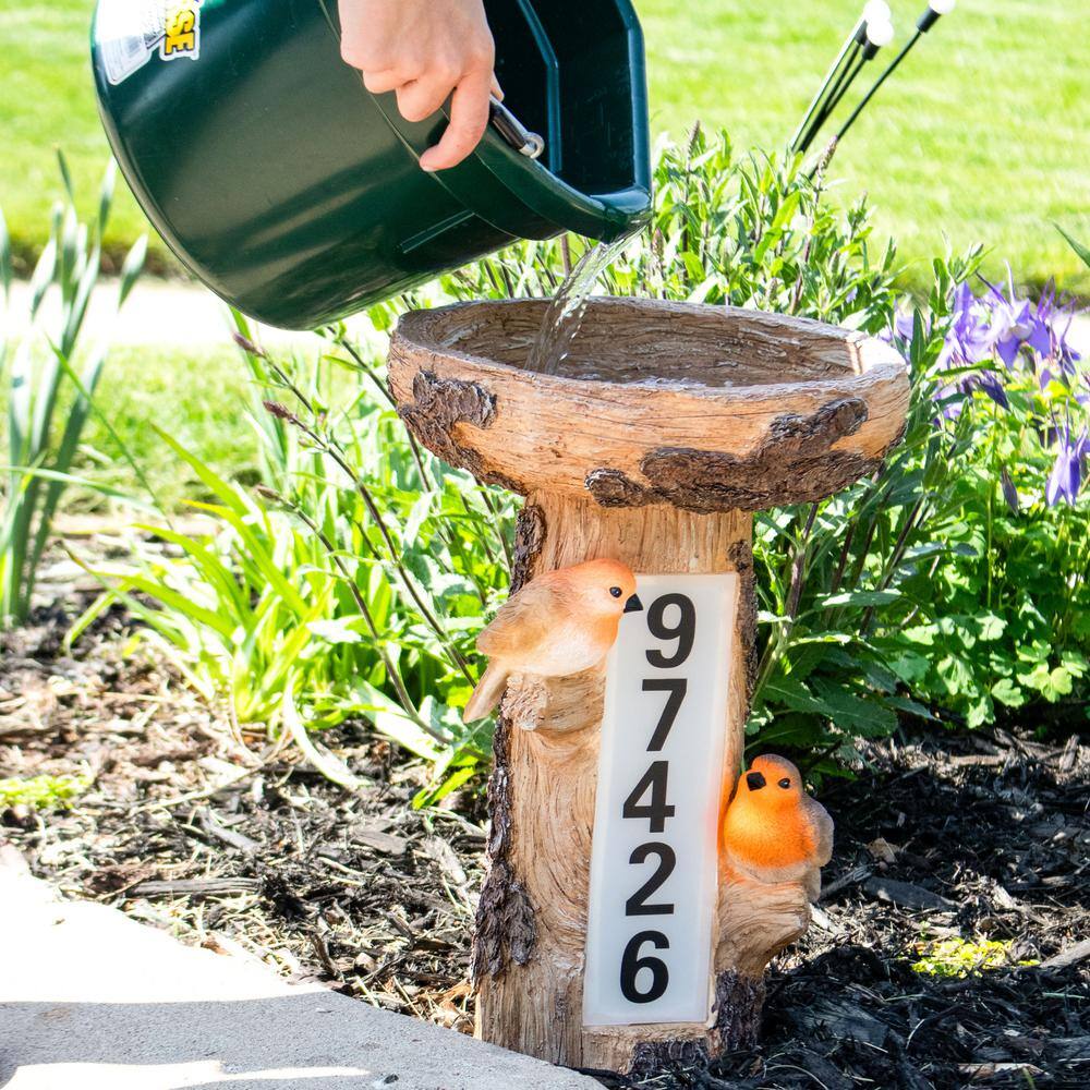 Rustic Brown Polyresin Tree Stump Bird Bath with Solar LED Address Plate
