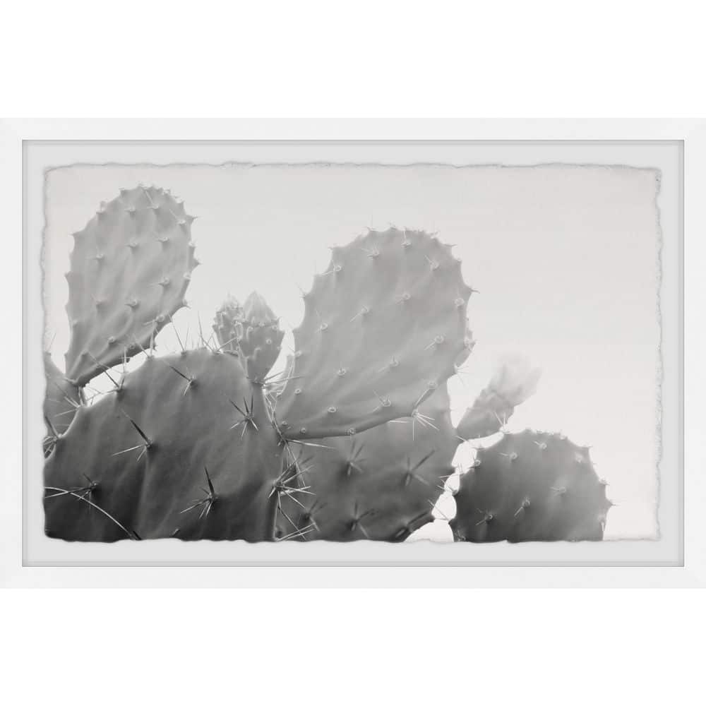 Grey Cactus by Marmont Hill Framed Nature Art Print 20 in. x 30 in.