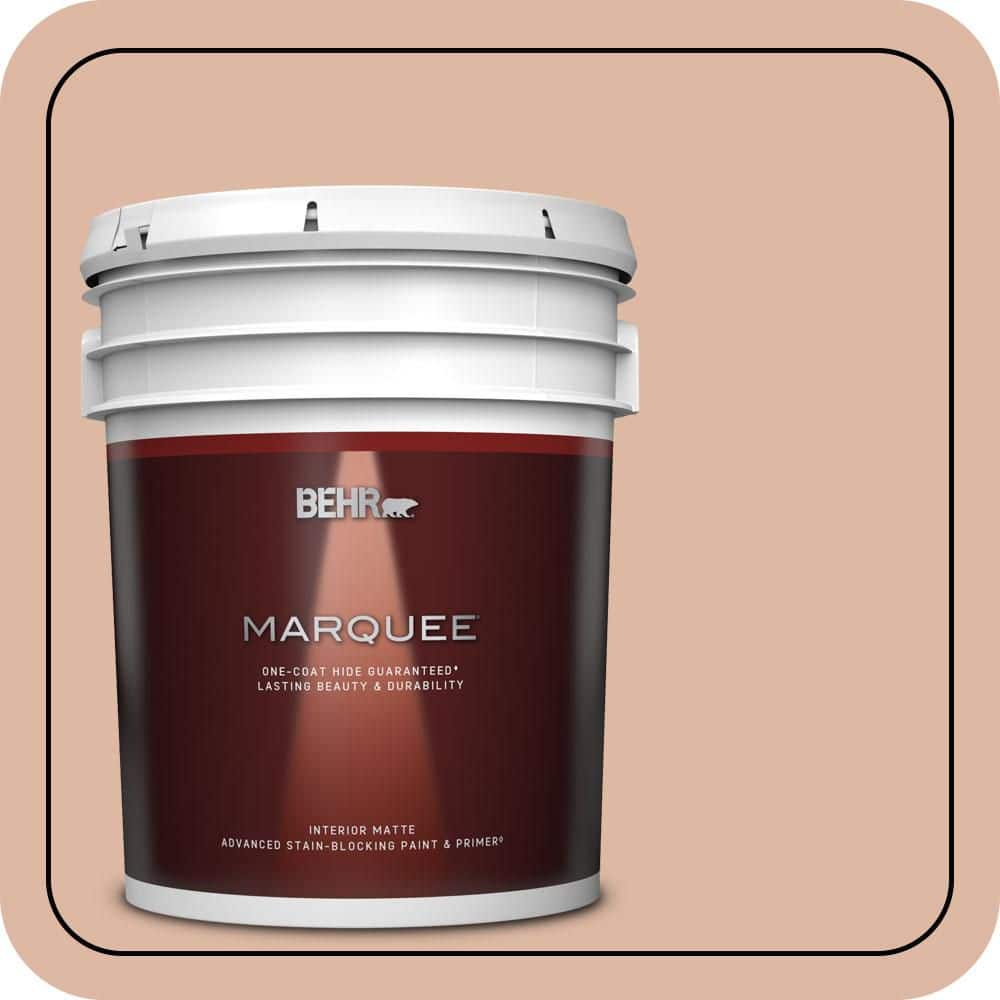 5 gal. #ECC-60-1 Coral Bay Matte Interior Paint & Primer product image for price tracking