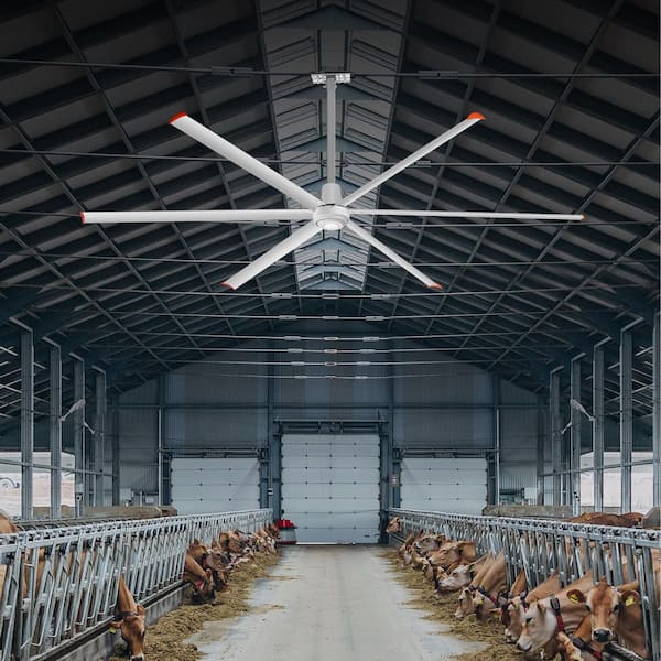 144 in. (12 ft. ) Aluminum Indoor/Covered Outdoor Industrial HVLS Silver Ceiling Fan with Downrod, Wall Control No Light