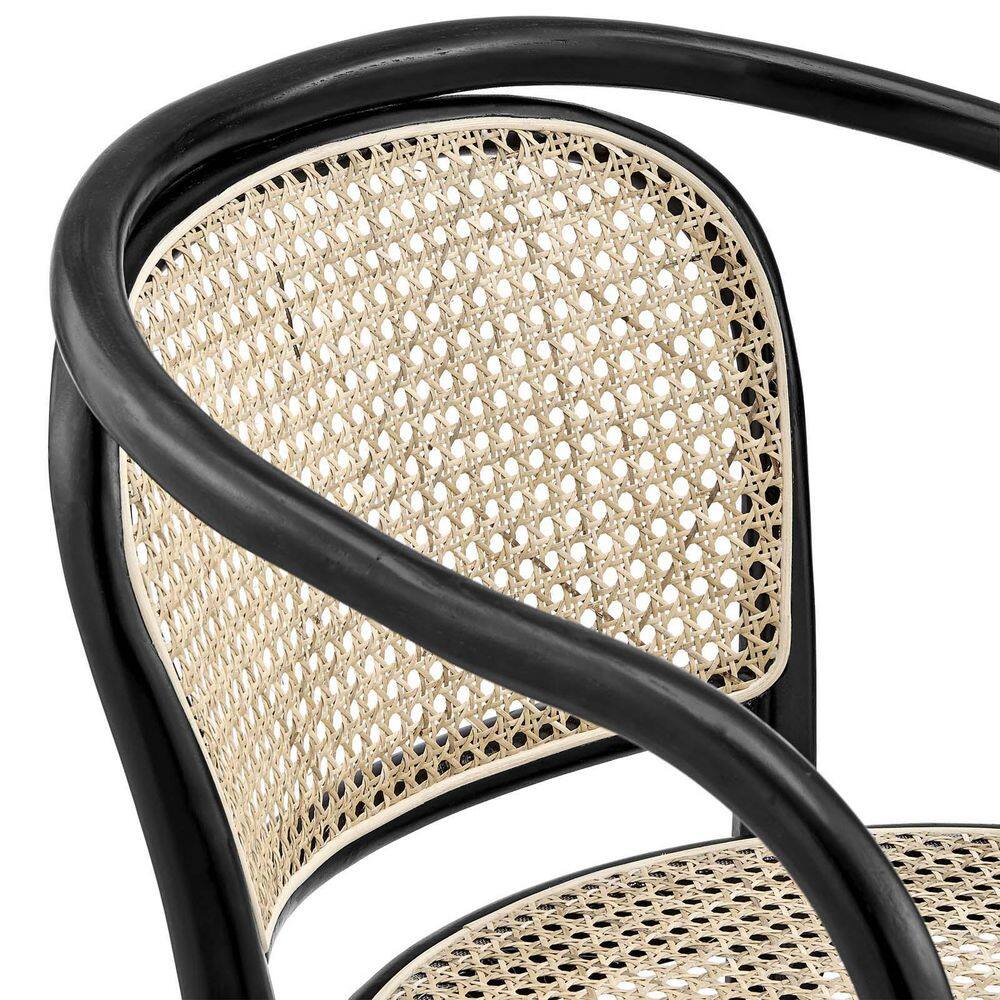 Black Elm Wood & Rattan Cane Low Arm Chair