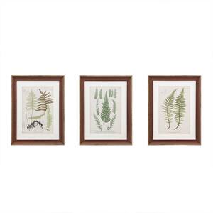 Anky 3-Piece Framed Art Print 24.75 in. x 18.75 in. Botanical Illustration Framed Glass and Single Matted Wall Art Set