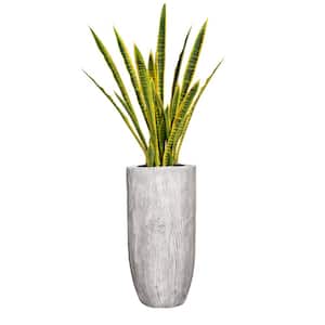 Vintage Home Artificial 55 in. High Artificial Faux Snake Plant With Fiberstone Planter For Home Decor