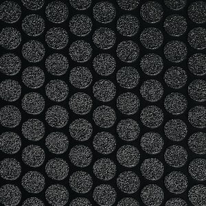 Small Coin 10 ft. x 24 ft. Midnight Black Commercial Grade Vinyl Garage Flooring Cover and Protector