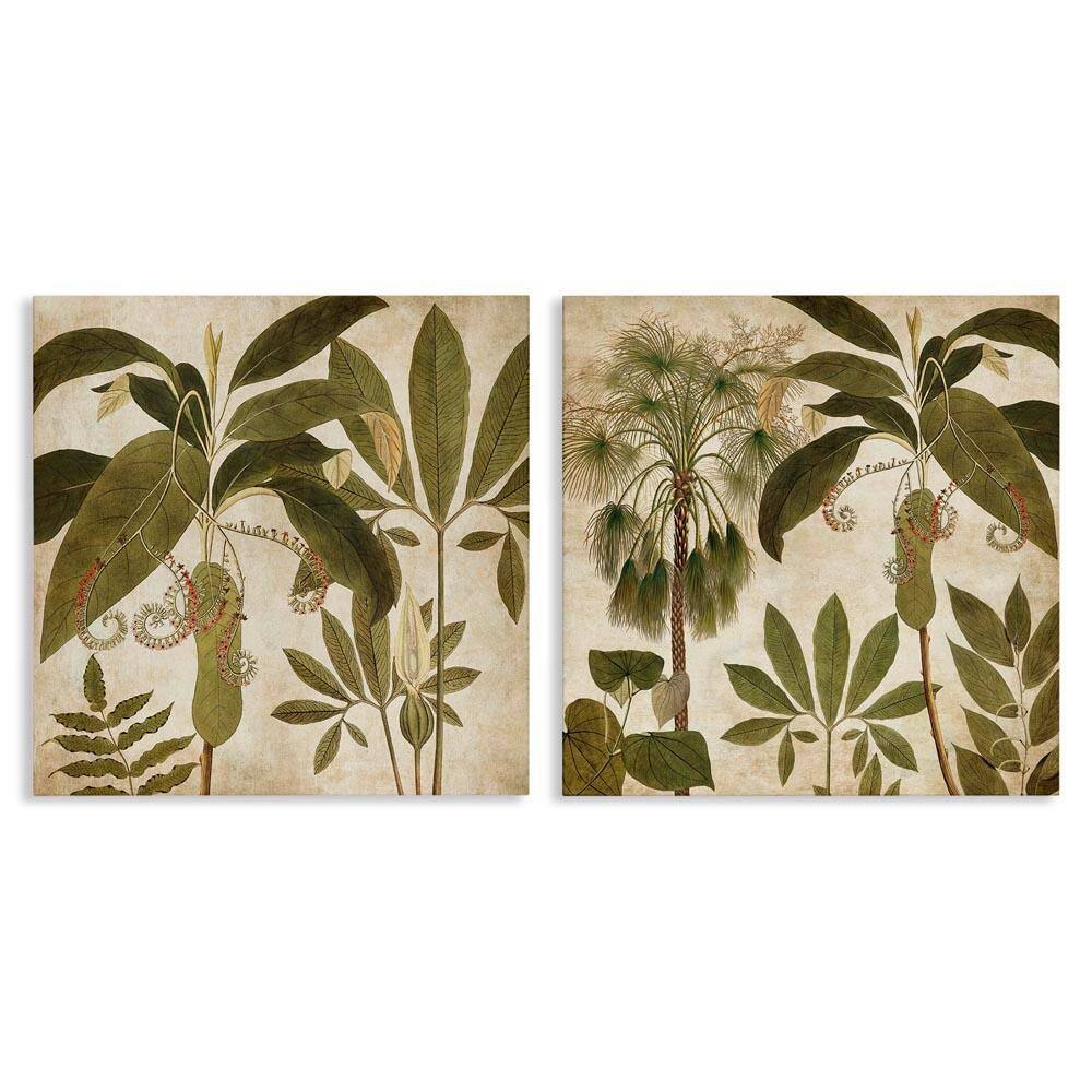 Vintage Botanical Tropics by Chris Donovan 2 Pieces Unframed Nature Graphic Art Print 17 in. x 17 in. price history on PriceWatchPro