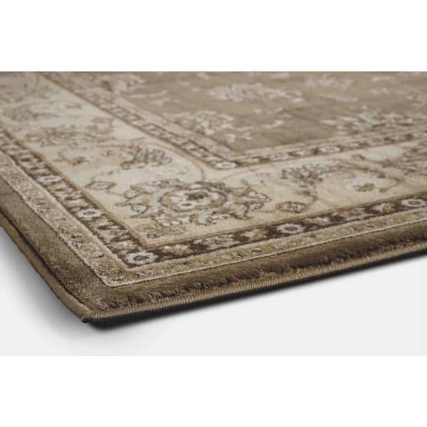 Pisa Brown 8 ft. x 10 ft. Traditional Oriental Floral Scroll Area Rug