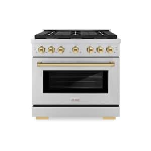 Paramount 36 in. 6-Burner Dual Fuel Range with Convection Oven in Stainless Steel and Polished Gold