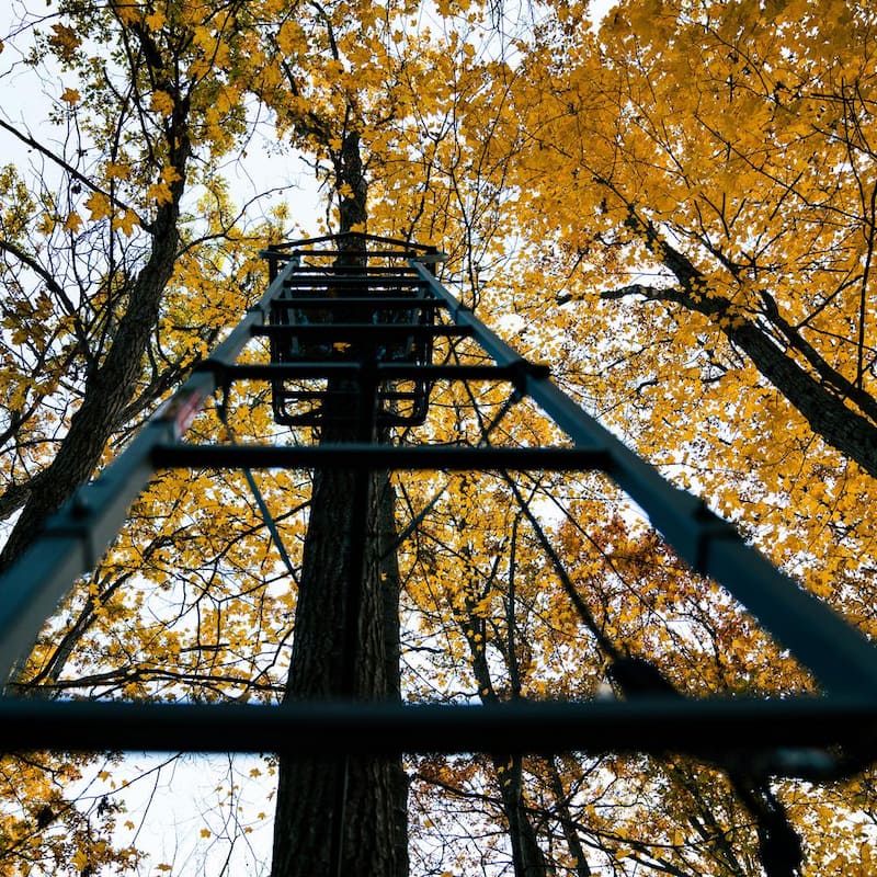 Jumbo Jack Ladder Stand