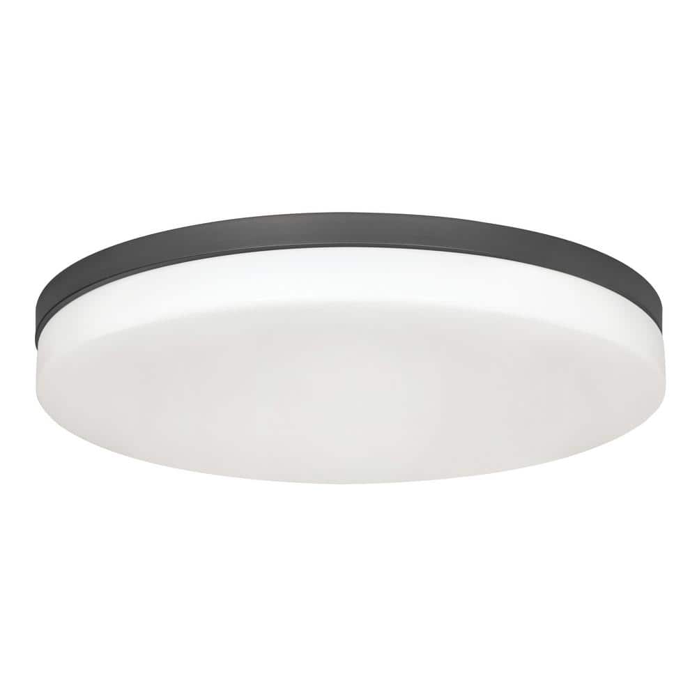 Oscar 19" Black LED Flush Mount Ceiling Light