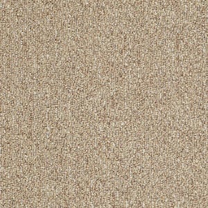 8 in. x 8 in. Berber Carpet Sample - Fallbrook - Color Honey Bear