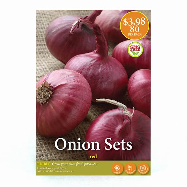 Onion & Vegetable Holder With Hand Odour Bar