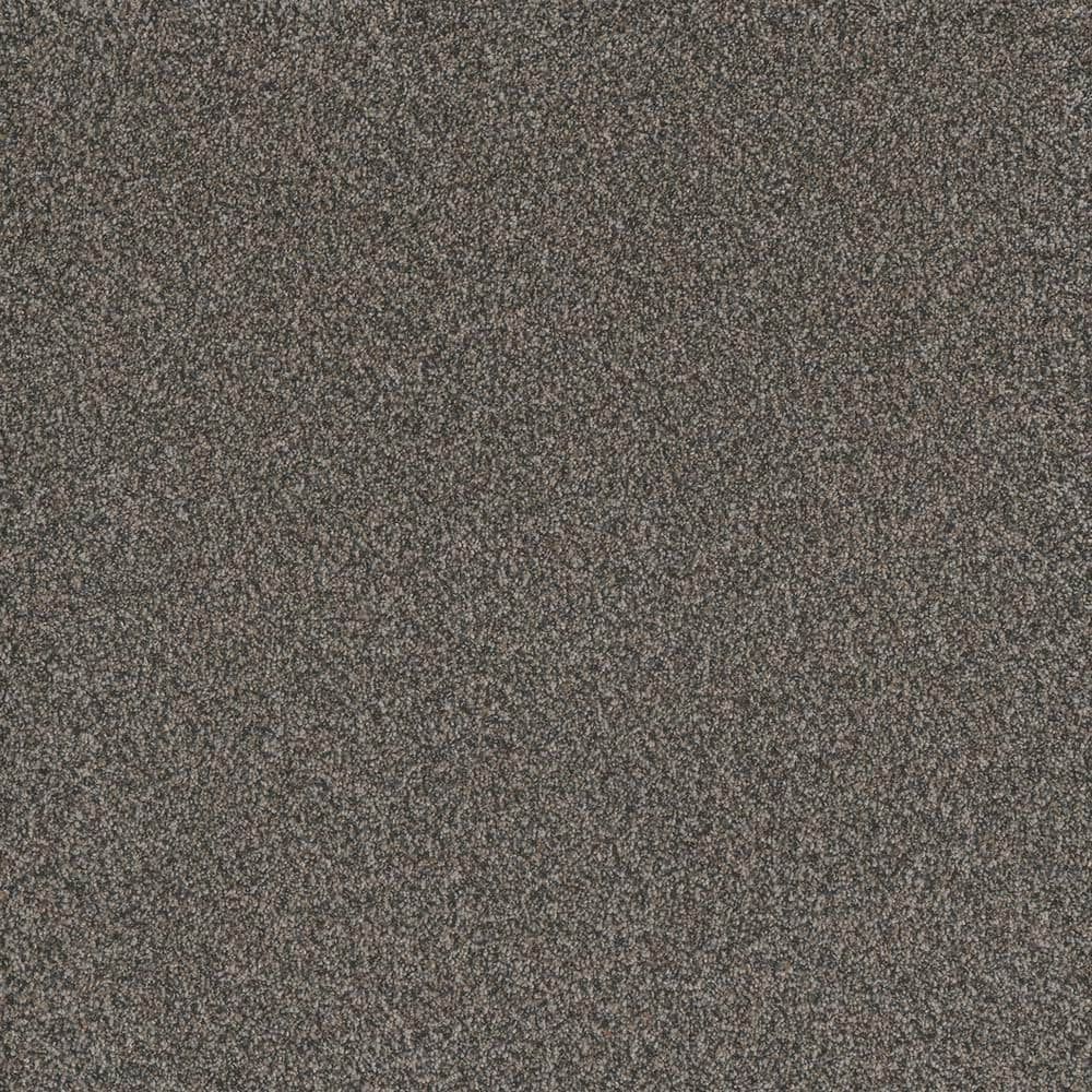 8 in. x 8 in. Texture Carpet Sample - Serene Glory III - Color Collected price history on PriceWatchPro