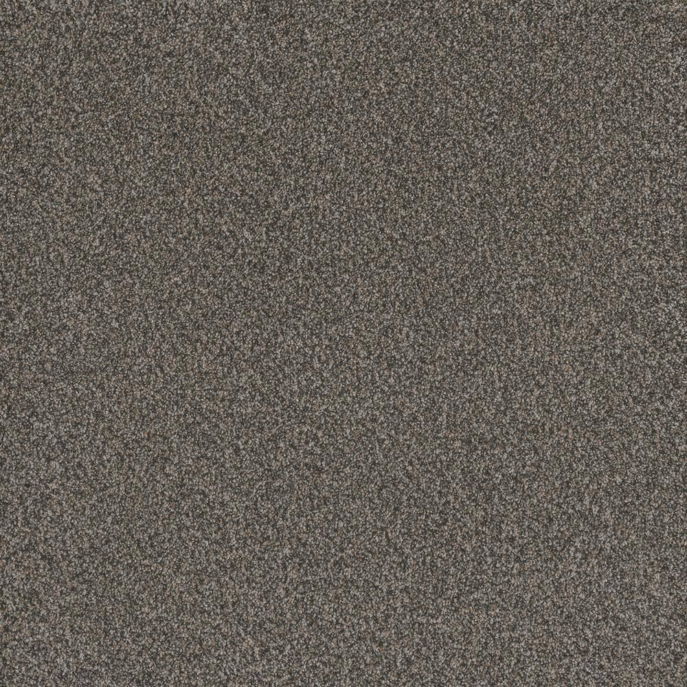8 in. x 8 in. Texture Carpet Sample - Serene Glory I - Color Collected price history on PriceWatchPro