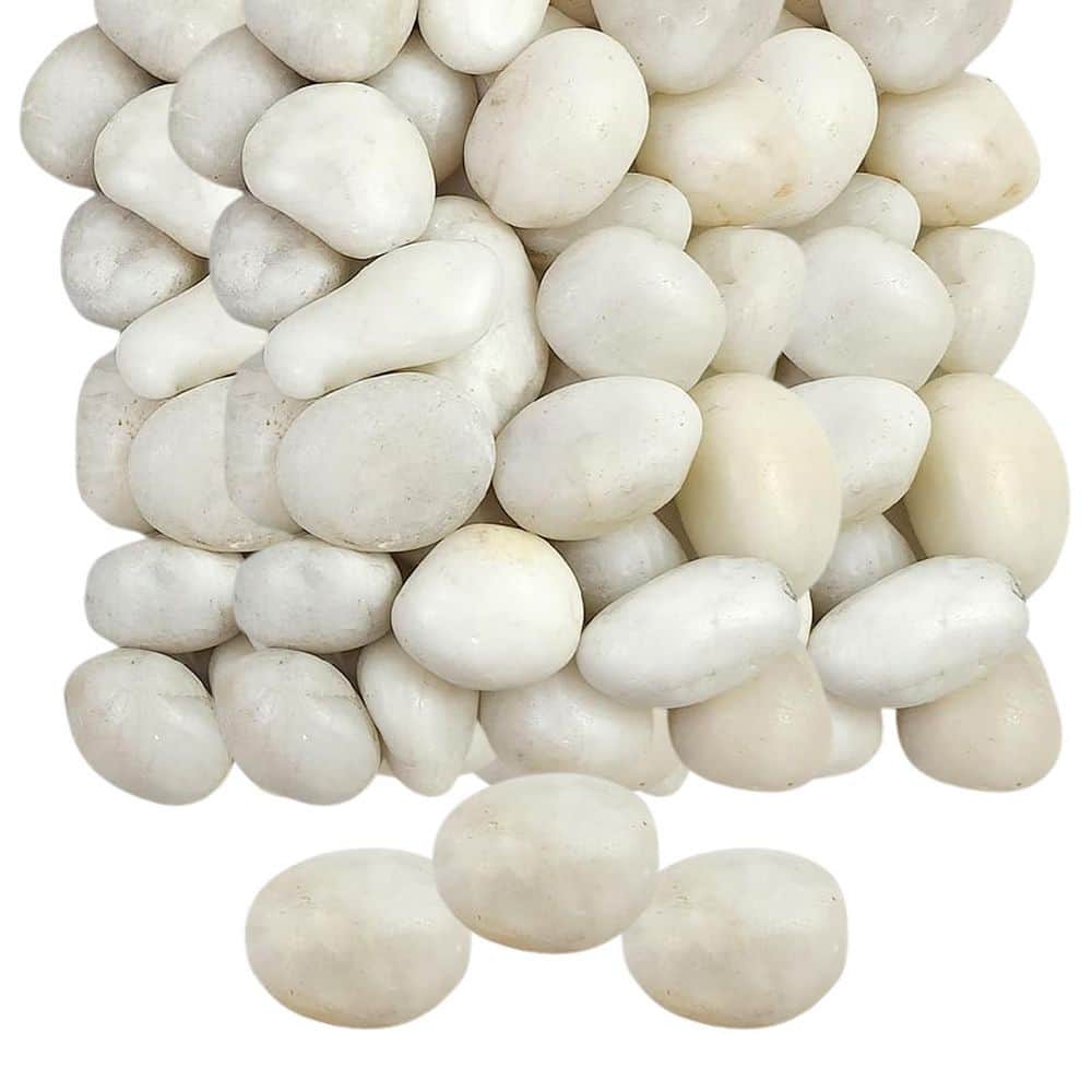 .N/A 5 lbs Bag White Decorative River...