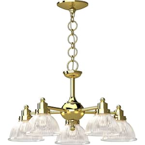 5-Lights Polished Brass Chandelier with Glass shade