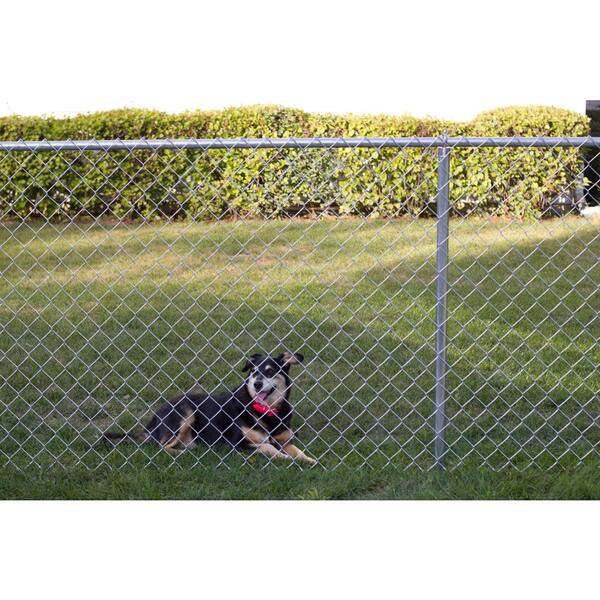 YardGard 60 in. H 7 Ga. Metal Chain Link Fence Tension Bar YardGard 60 in. H 7 Ga. Metal Chain Link Fence Tension Bar