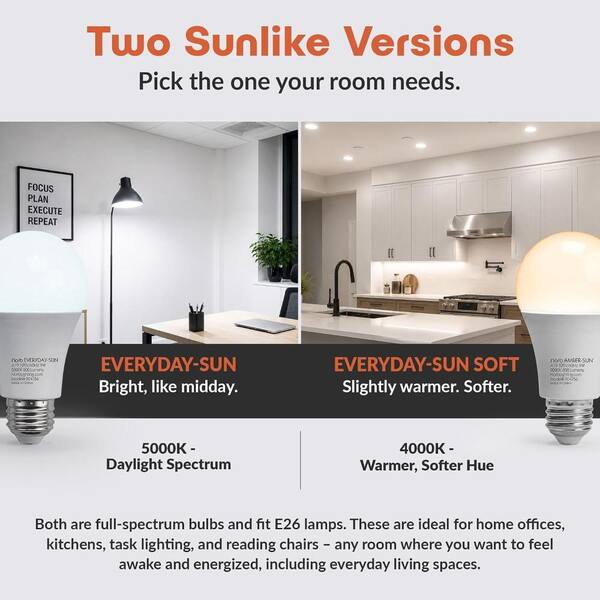 ELECWISH NorbEVERYDAY 9W Equivalent Everyday-Sun-Soft A19 4000K