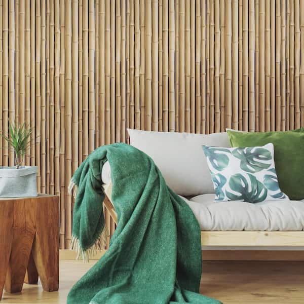 JAAMSO ROYALS Light Green Bamboo Peel and Stick Self Adhesive WallpaperWall  Sticker 1000 CM x 45 CM  Amazonin Home Improvement
