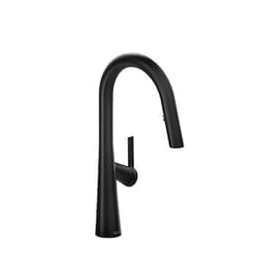 Ludik Single Handle Pull Down Sprayer Kitchen Faucet with Gooseneck in Black