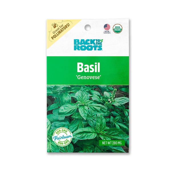 Back to the Roots Organic Genovese Basil Seed (1Pack) 46001 The Home