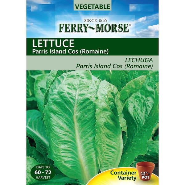 Ferry-Morse Lettuce Romaine Parris Island Cos Seed