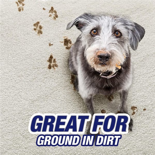 22 oz. Pet Expert Carpet Cleaner High Traffic Foam