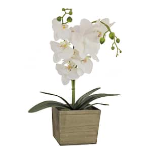 21 in Artificial Floral Arrangements Orchid in Wooden Box- Color: White