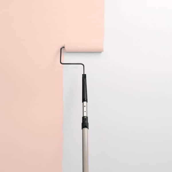 Pale Coral PPG1063-3 Paint