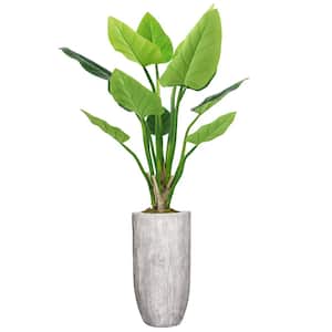 Vintage Home Artificial 74 in. High Artificial Faux Philodendron Erubescens With Fiberstone Planter For Home Decor