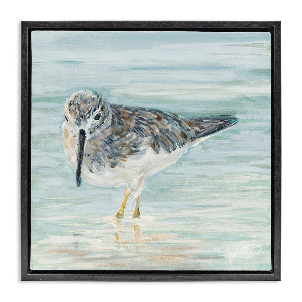 Sandpiper in Shallow Beach Waters by Julie DeRice Black Floater Frame Graphic Art Print Animal 25 in. x 25 in. price history on PriceWatchPro